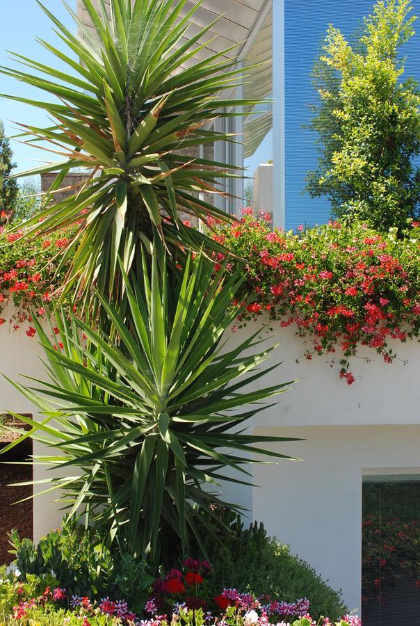 Hotel Torre Santamaria Resort Mattinata Exteriör bild
